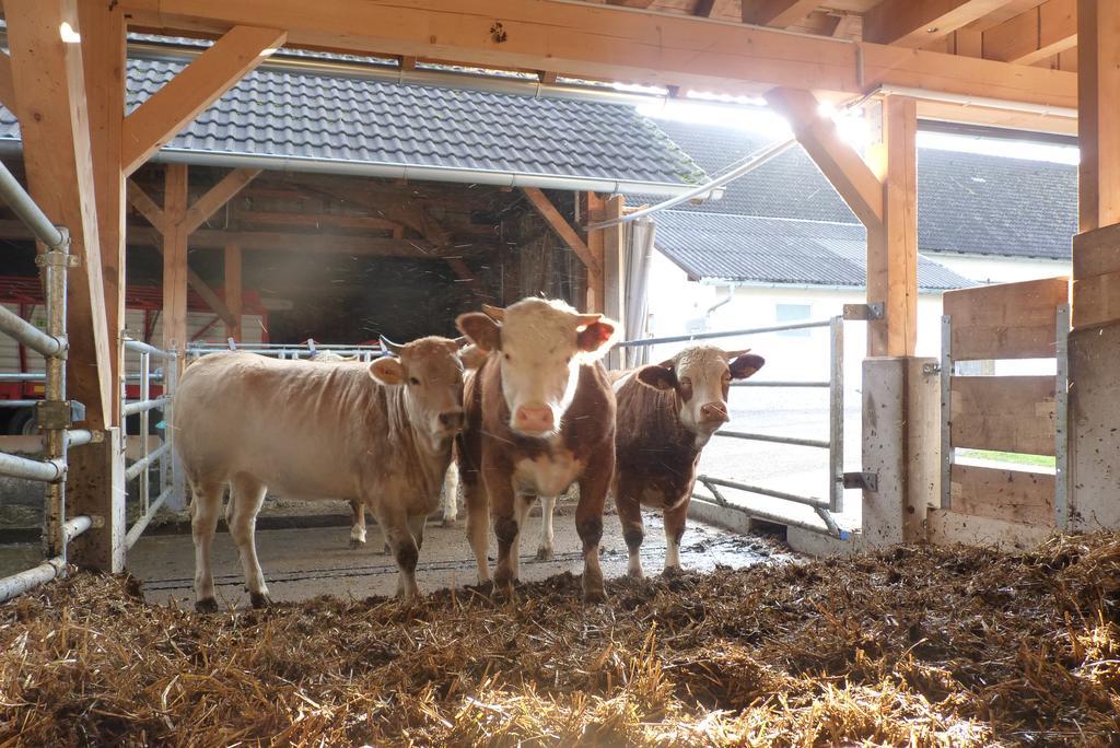 Landgut Wagnerfeld Lejlighed Altmünster Eksteriør billede